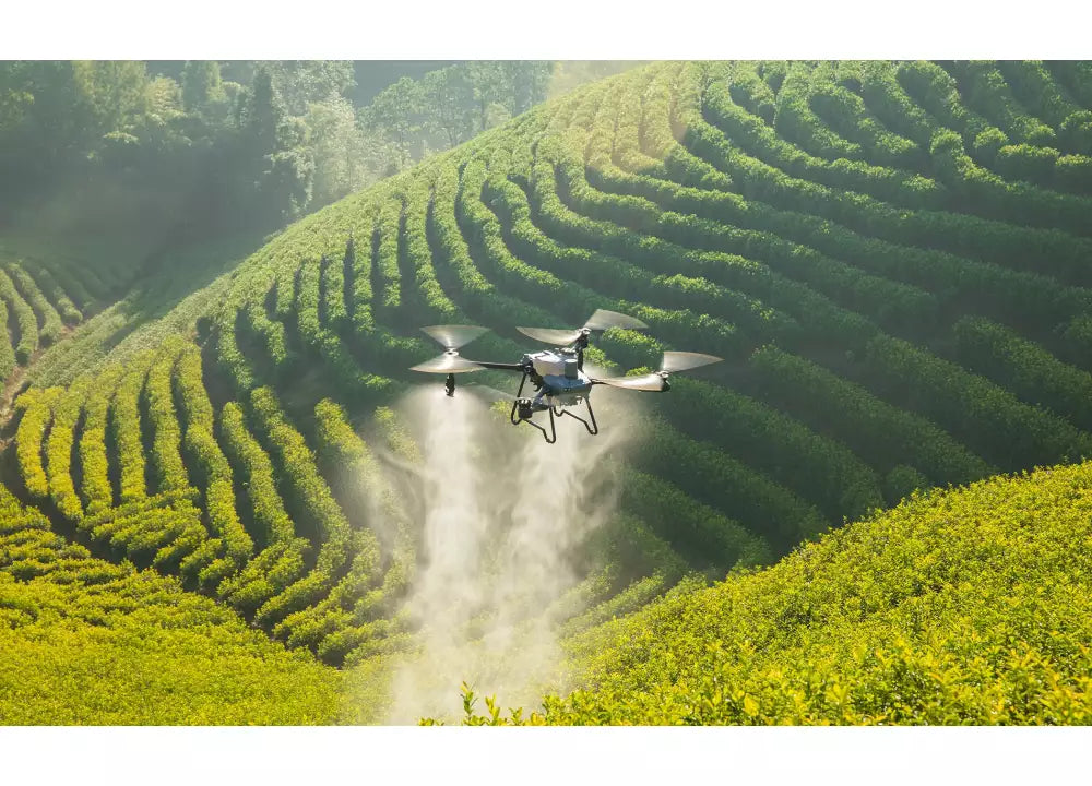 DJI Agras T25 Weinbau