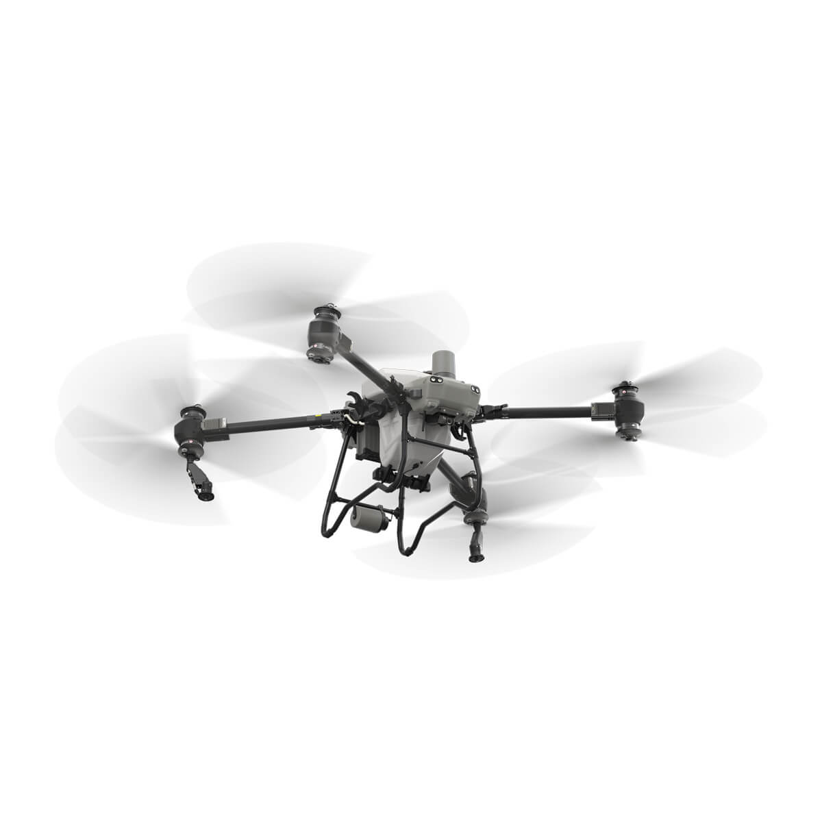 DJI Agras T50 Weinbau