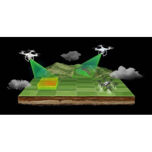 DJI Agras T30 Weinbau